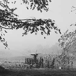 placeholder image-sq